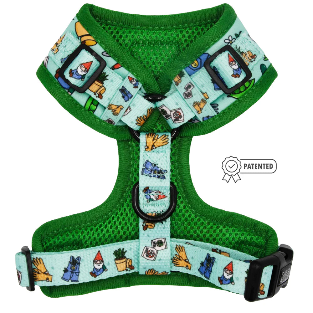 DOG TWO PIECE BUNDLE - CHILLIN WITH MY GNOMIES