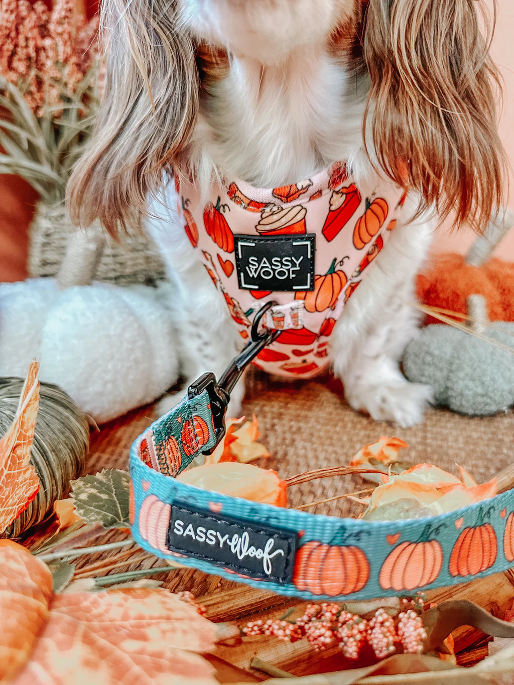 DOG TWO PIECE BUNDLE - PIE THERE