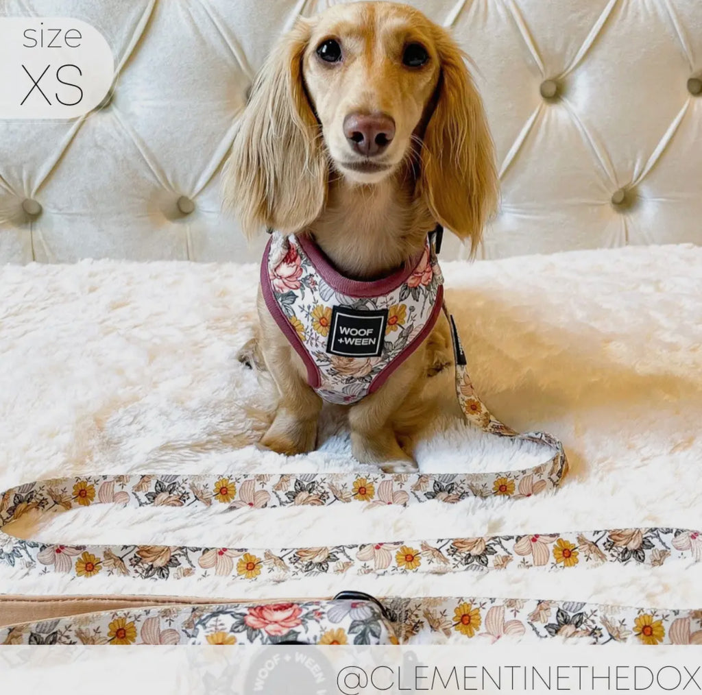 DOG ADJUSTABLE HARNESS - FLOWER FIELDS