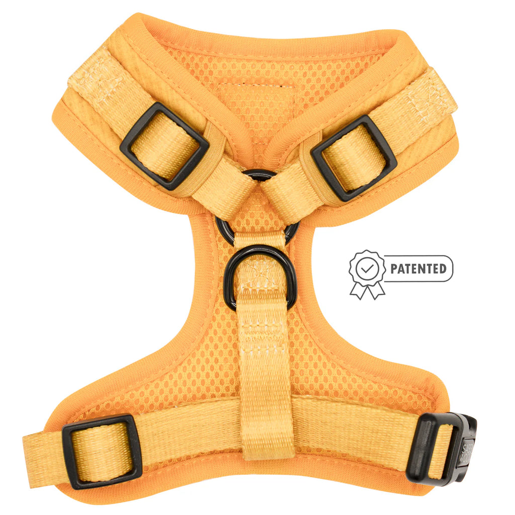 DOG HARNESS AND LEASH TWO PIECE BUNDLE - SUNFLOWER FIELDS 🌻