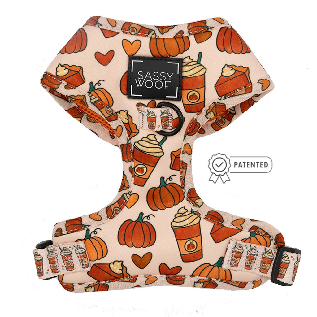 DOG TWO PIECE BUNDLE - PIE THERE