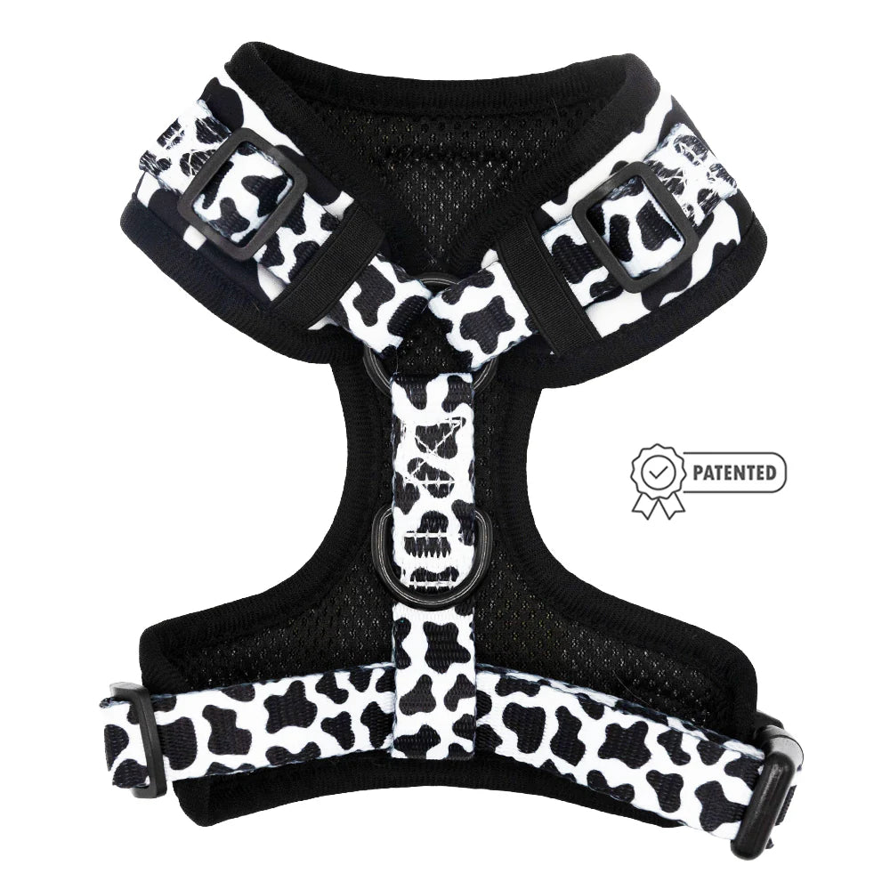 DOG ADJUSTABLE HARNESS - WHOLE MILK
