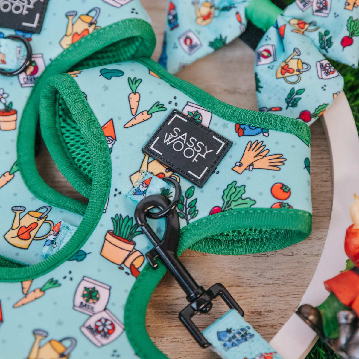 DOG TWO PIECE BUNDLE - CHILLIN WITH MY GNOMIES