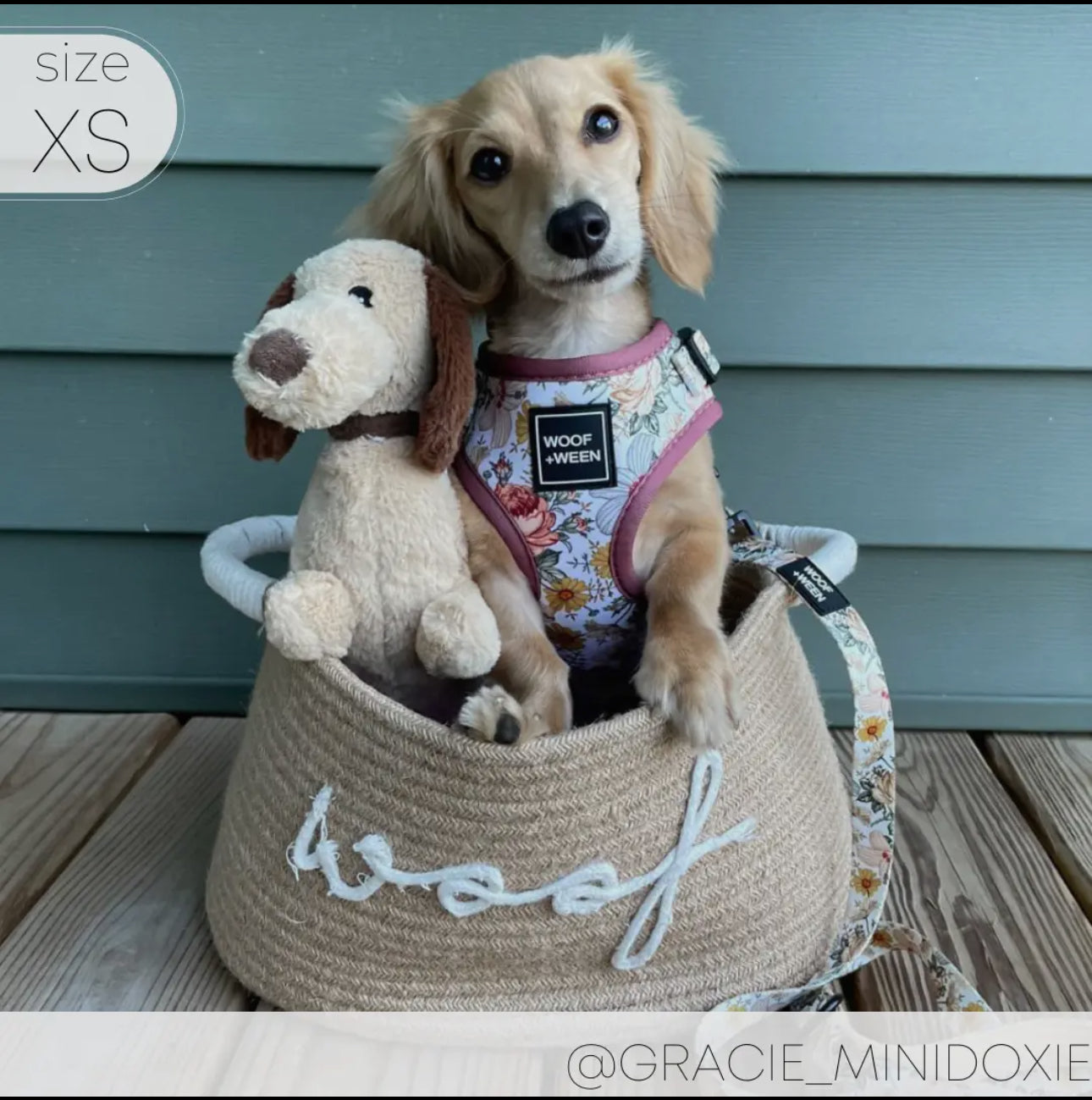 DOG ADJUSTABLE HARNESS - FLOWER FIELDS