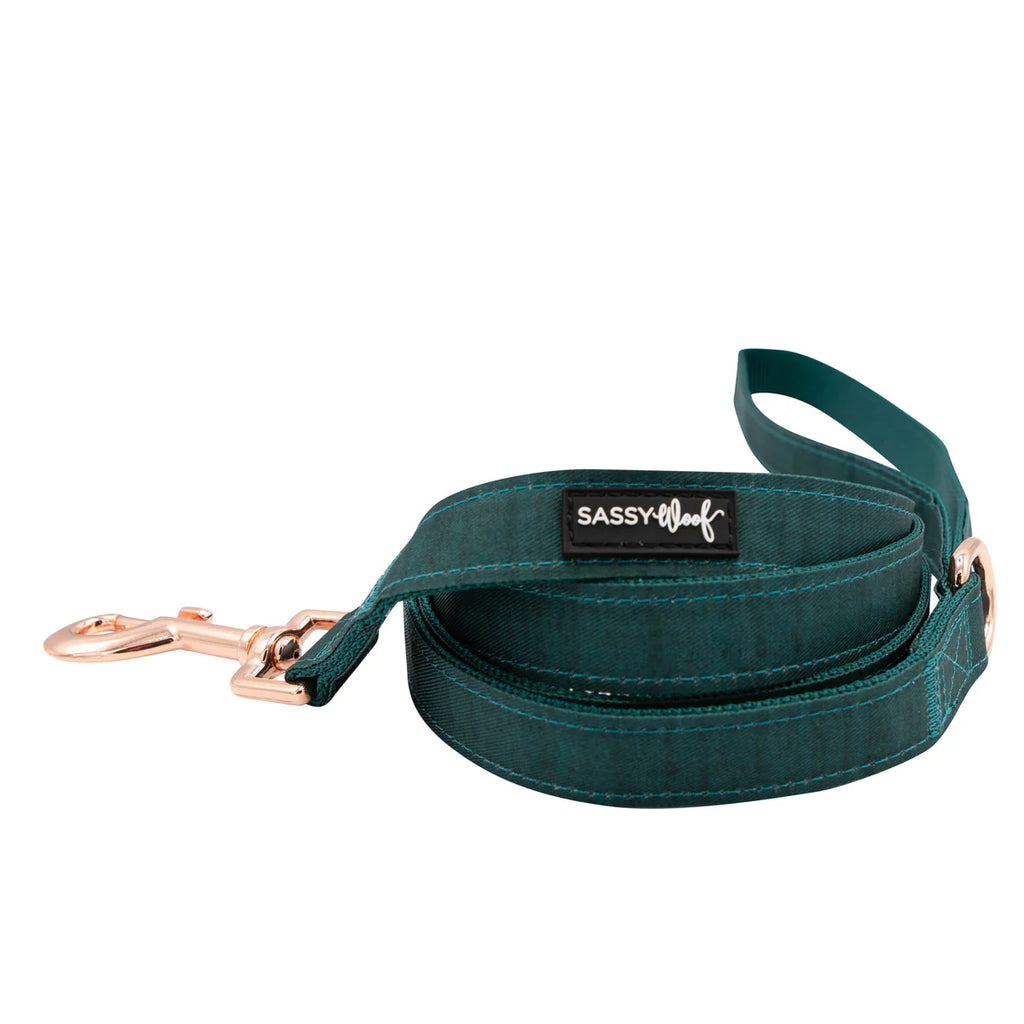 DOG HARNESS AND LEASH TWO PIECE BUNDLE - FOREST