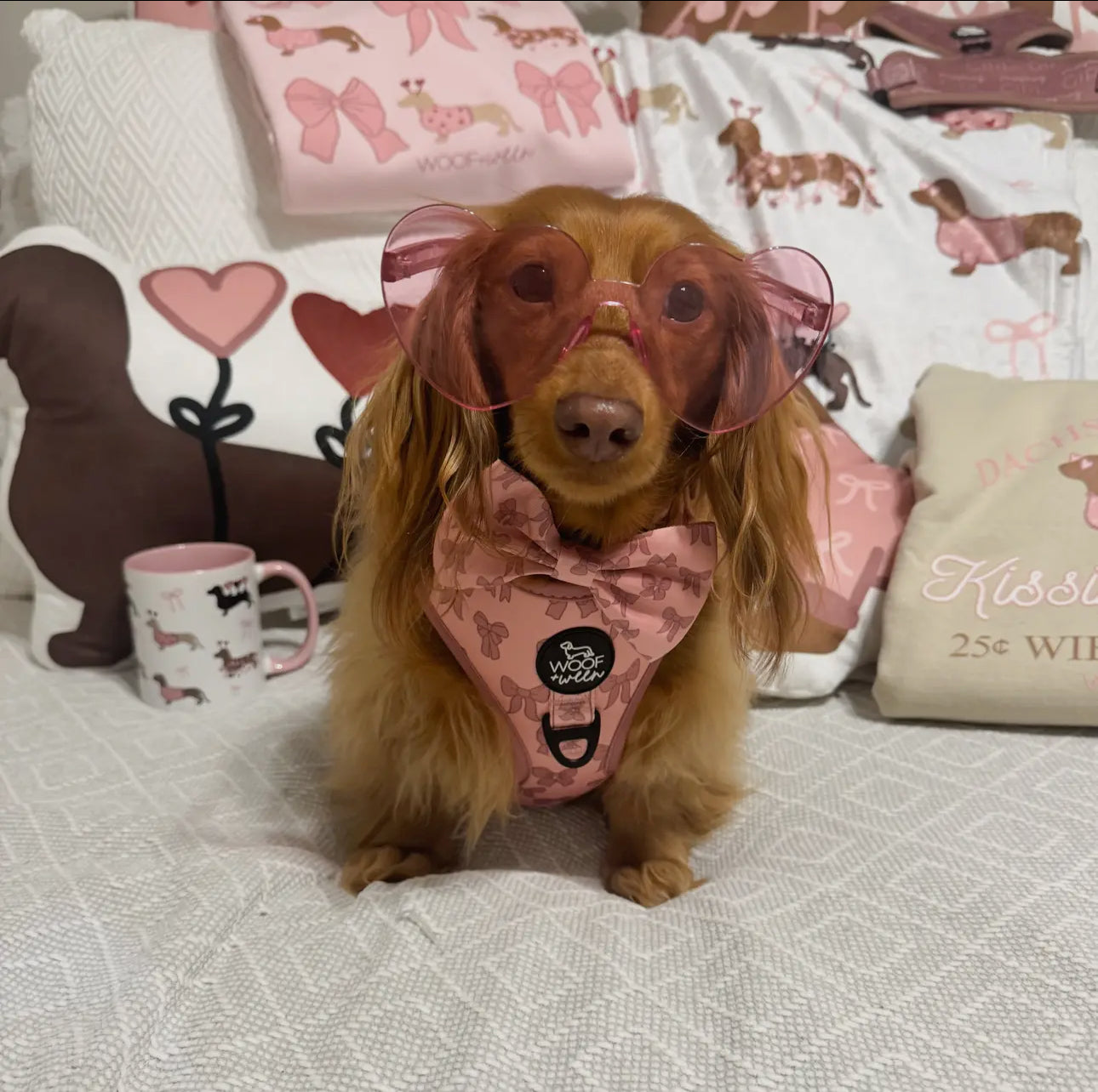 DOG ADJUSTABLE HARNESS - PINK BOWS