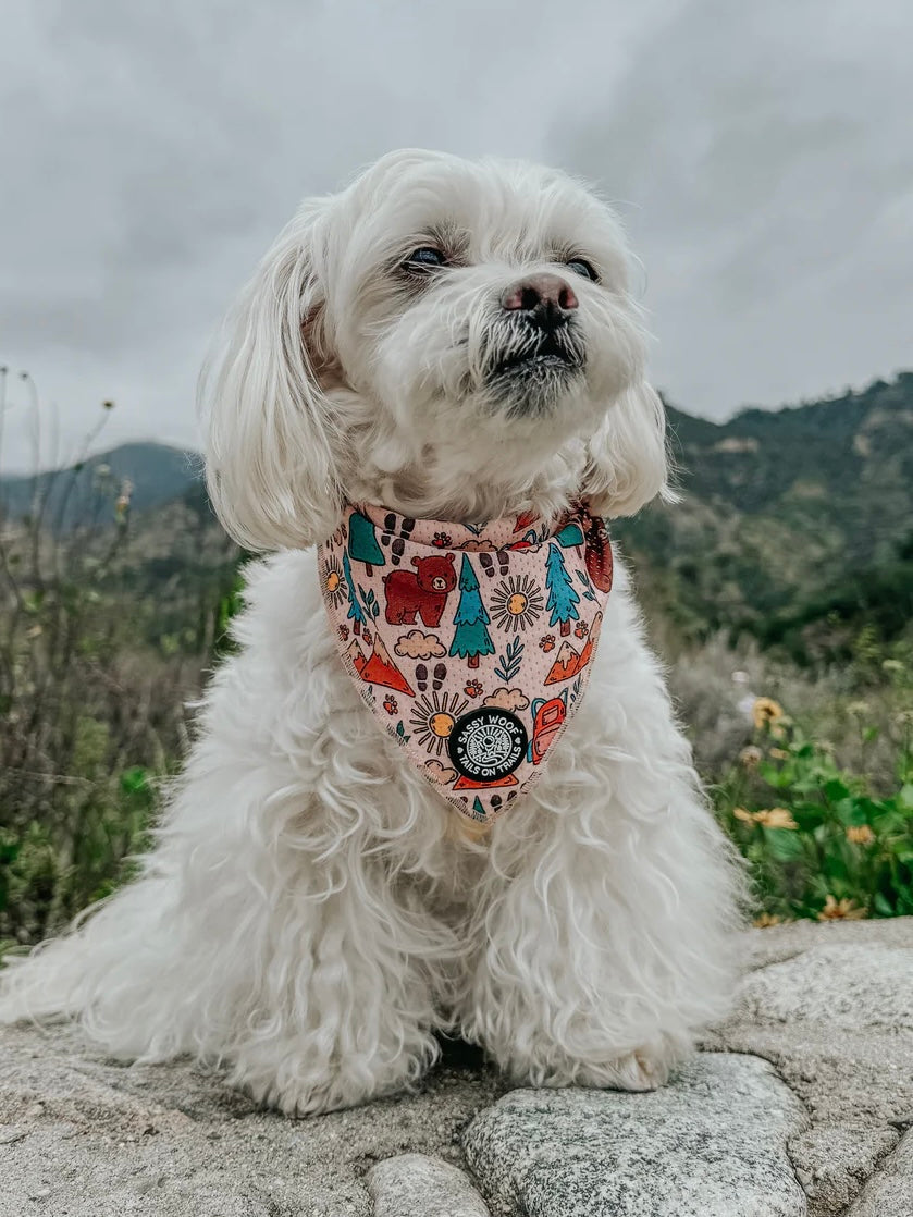 DOG BANDANA - NATIONAL BARK