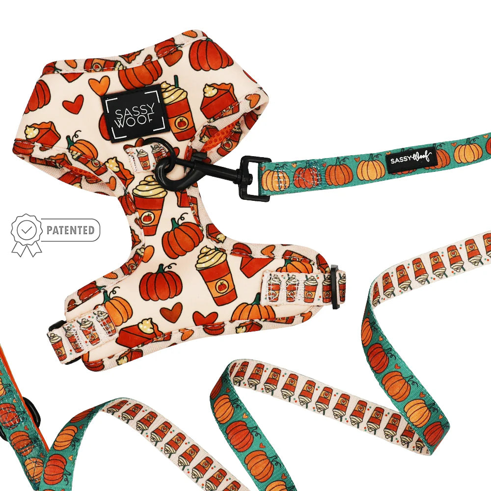 DOG TWO PIECE BUNDLE - PIE THERE