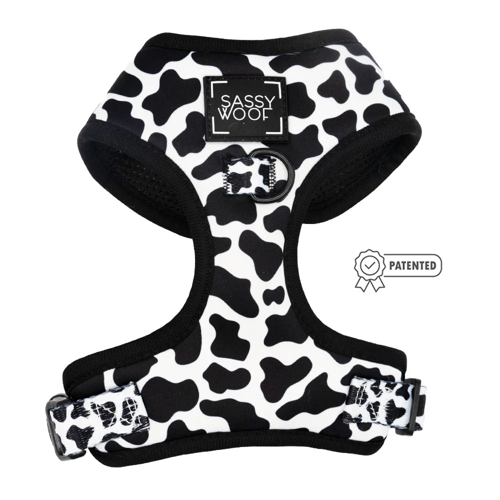 DOG ADJUSTABLE HARNESS - WHOLE MILK