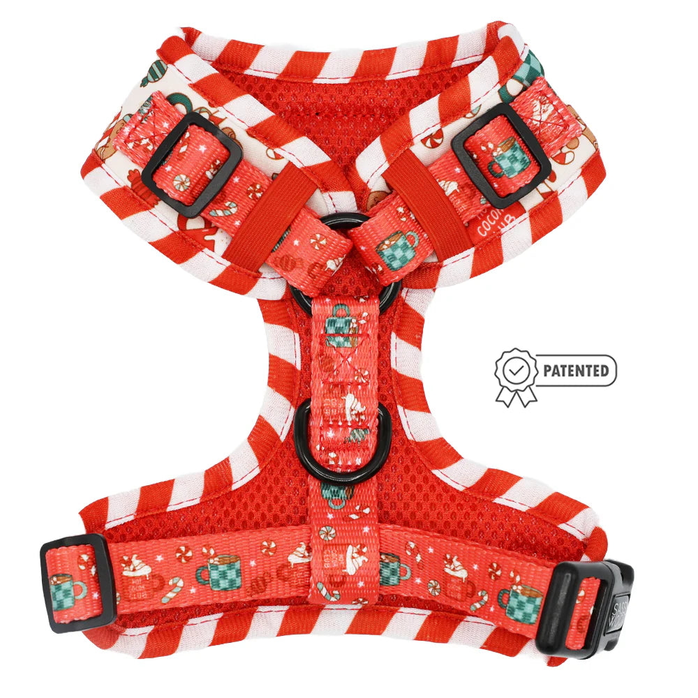 DOG ADJUSTABLE HARNESS - HOT COCOA CLUB