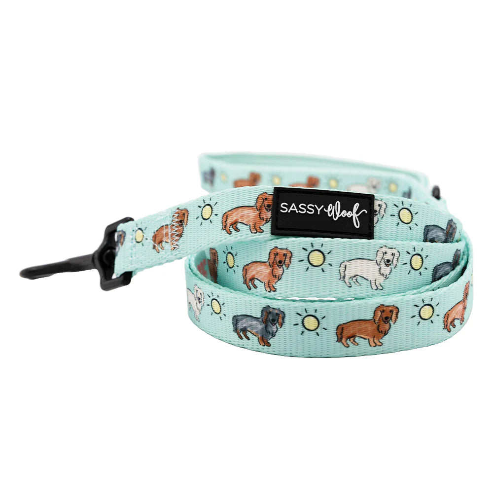 DOG LEASH - HOT DOG DAYS