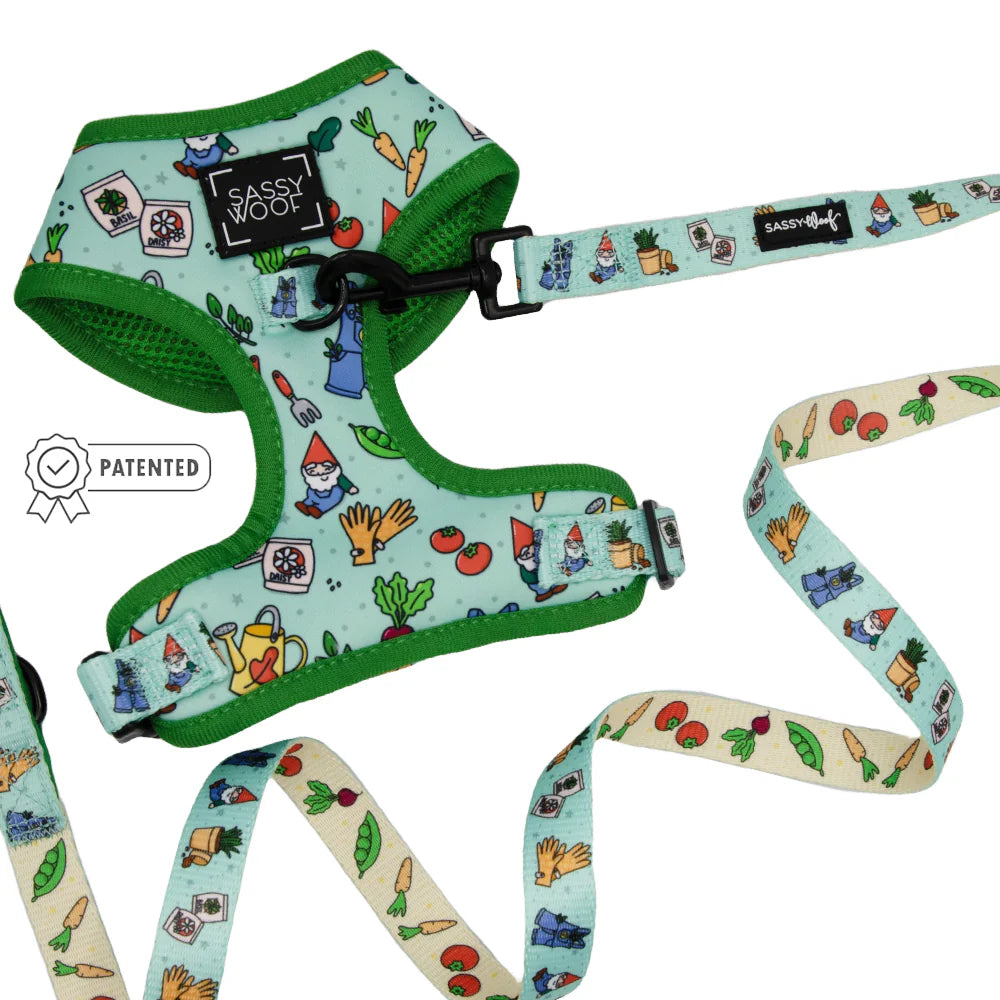 DOG TWO PIECE BUNDLE - CHILLIN WITH MY GNOMIES