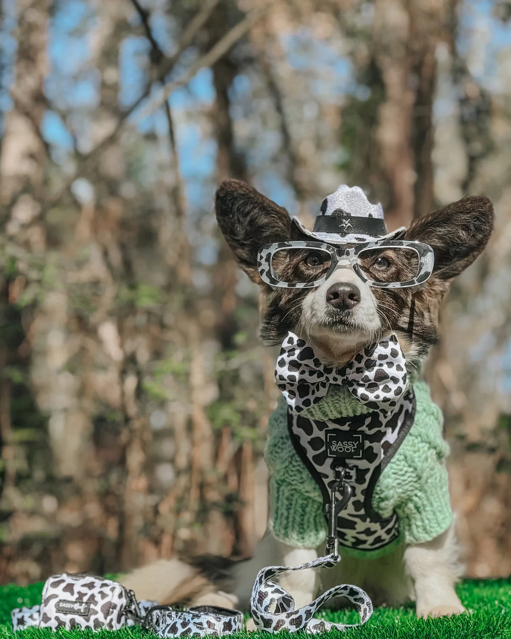 DOG ADJUSTABLE HARNESS - WHOLE MILK