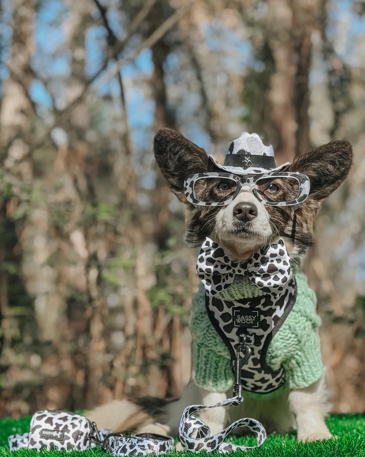 DOG ADJUSTABLE HARNESS - WHOLE MILK