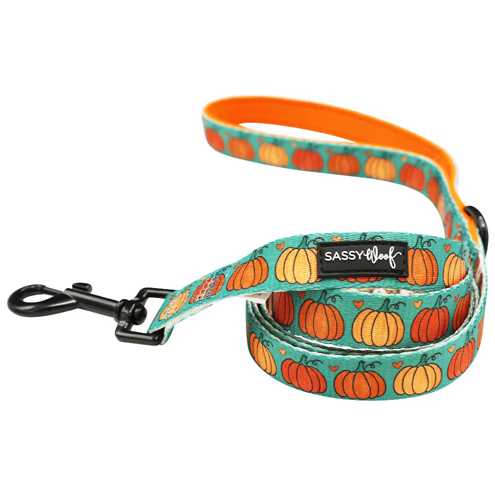 DOG TWO PIECE BUNDLE - PIE THERE