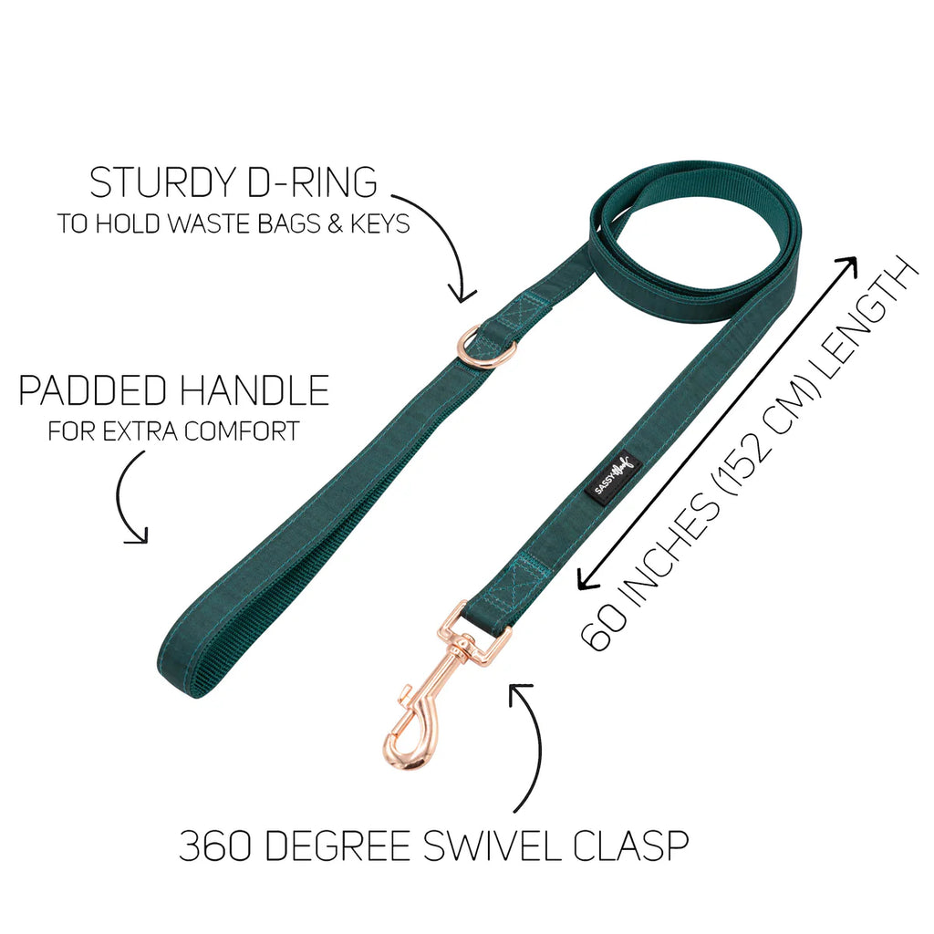 DOG HARNESS AND LEASH TWO PIECE BUNDLE - FOREST