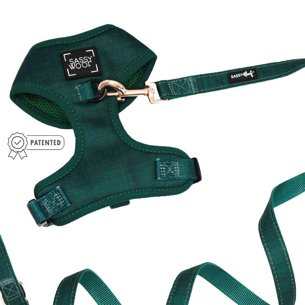 DOG HARNESS AND LEASH TWO PIECE BUNDLE - FOREST