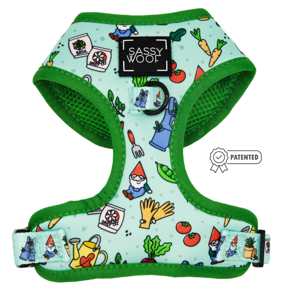 DOG TWO PIECE BUNDLE - CHILLIN WITH MY GNOMIES