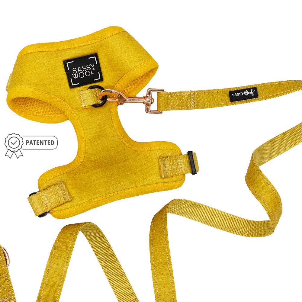 DOG HARNESS AND LEASH TWO PIECE BUNDLE - SUNFLOWER FIELDS 🌻