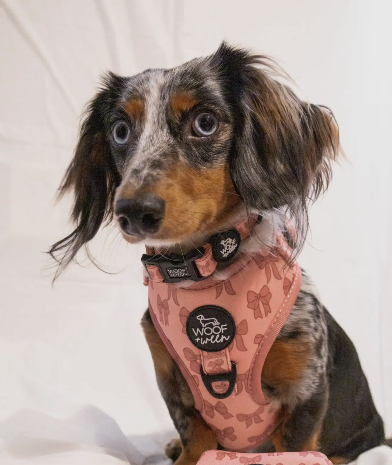DOG ADJUSTABLE HARNESS - PINK BOWS
